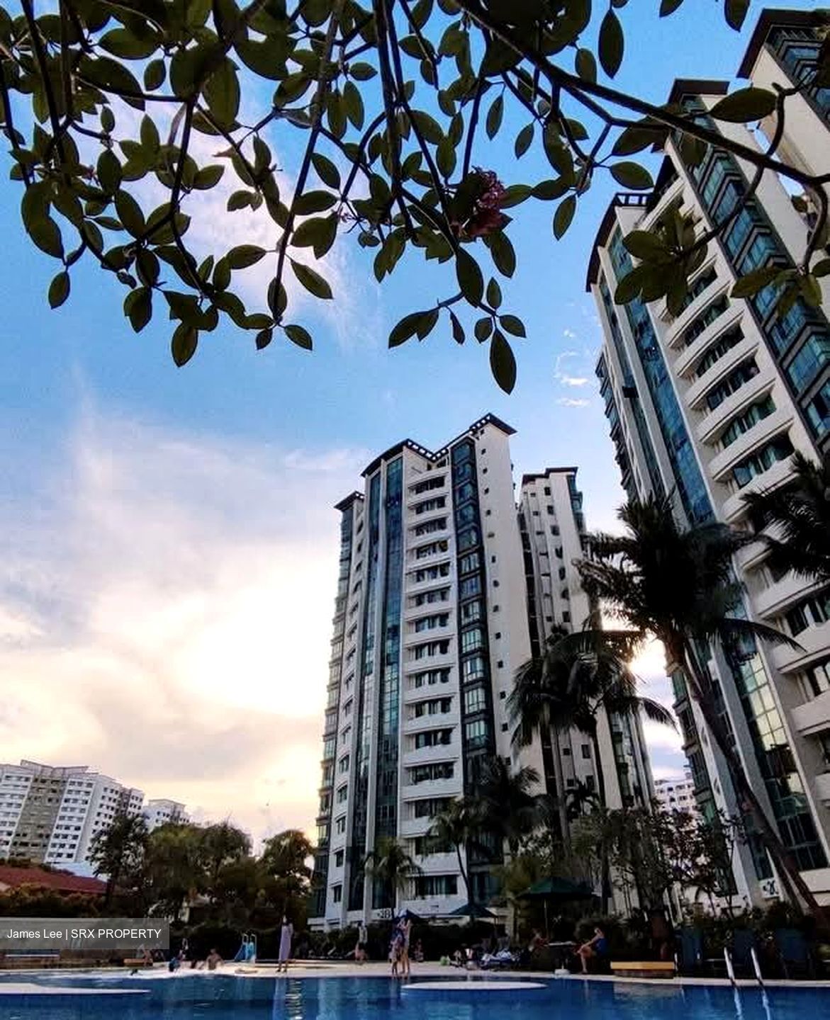 Palm Gardens (D23), Condominium #563735981